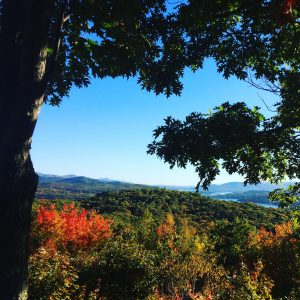 Whitten Woods South Trail! Only took my class 15min to reach this view!