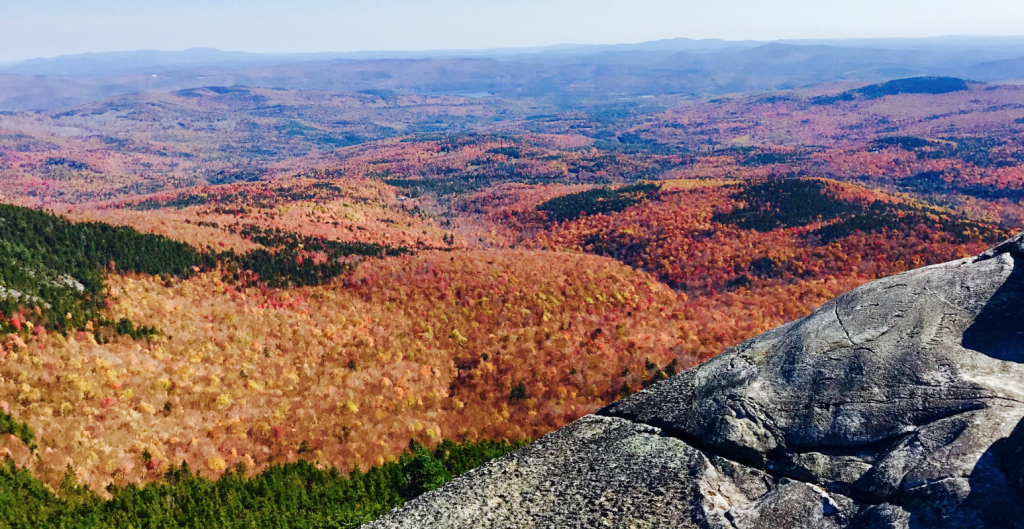 Foliage as seen from Mt.Cardigan